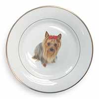Yorkshire Terrier Dog Gold Rim Plate Printed Full Colour in Gift Box
