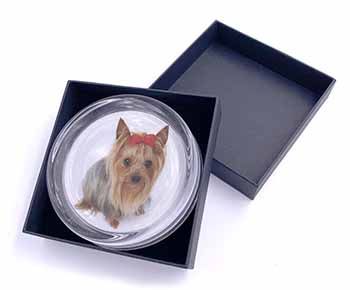 Yorkshire Terrier Dog Glass Paperweight in Gift Box