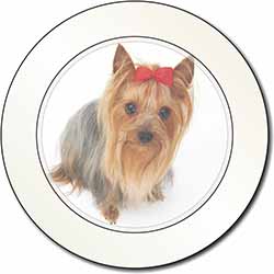 Yorkshire Terrier Dog Car or Van Permit Holder/Tax Disc Holder