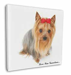 Yorkie with Red Bow Grandma Square Canvas 12"x12" Wall Art Picture Print