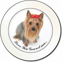 Yorkie with Red Bow Grandma Car or Van Permit Holder/Tax Disc Holder