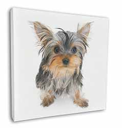 Yorkshire Terrier Dog Square Canvas 12"x12" Wall Art Picture Print