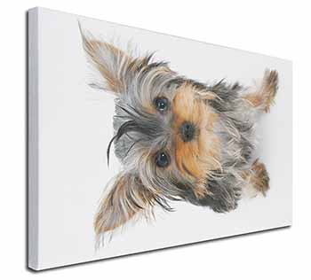 Yorkshire Terrier Dog Canvas X-Large 30"x20" Wall Art Print