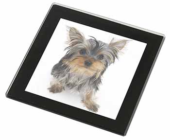 Yorkshire Terrier Dog Black Rim High Quality Glass Coaster