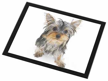 Yorkshire Terrier Dog Black Rim High Quality Glass Placemat