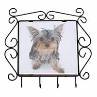 Yorkshire Terrier Dog Wrought Iron Key Holder Hooks