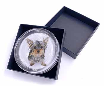 Yorkshire Terrier Dog Glass Paperweight in Gift Box
