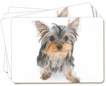 Yorkshire Terrier Dog Picture Placemats in Gift Box