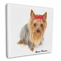 Yorkshire Terrier Dog 