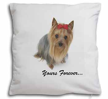 Yorkshire Terrier Dog 