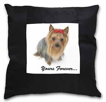 Yorkshire Terrier Dog 