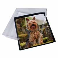 4x Yorkshire Terrier Dog Picture Table Coasters Set in Gift Box