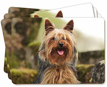 Yorkshire Terrier Dog Picture Placemats in Gift Box