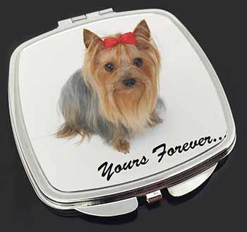 Yorkshire Terrier Dog 