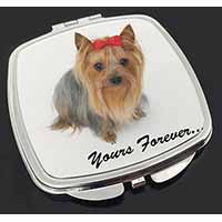 Yorkshire Terrier Dog 