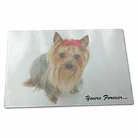 Large Glass Cutting Chopping Board Yorkshire Terrier Dog 