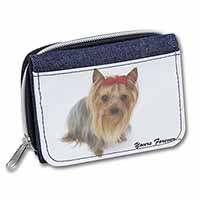 Yorkshire Terrier Dog 