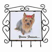 Yorkshire Terrier Dog 