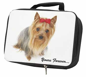 Yorkshire Terrier Dog 