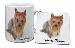 Yorkshire Terrier Dog 