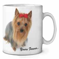 Yorkshire Terrier Dog 