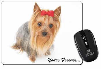 Yorkshire Terrier Dog 