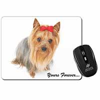 Yorkshire Terrier Dog 