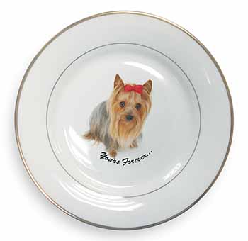 Yorkshire Terrier Dog 