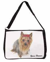 Yorkshire Terrier Dog 