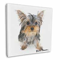 Yorkshire Terrier Dog 