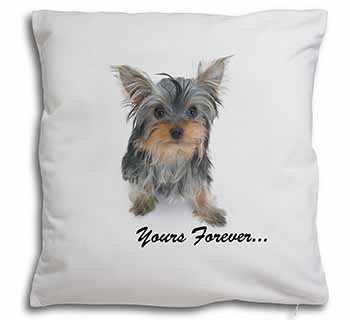 Yorkshire Terrier Dog 