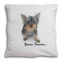 Yorkshire Terrier Dog 