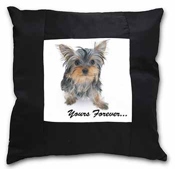 Yorkshire Terrier Dog 