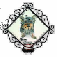 Yorkshire Terrier Dog 
