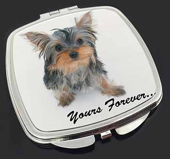 Yorkshire Terrier Dog 