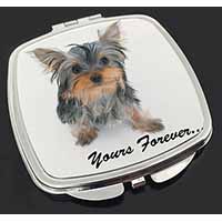 Yorkshire Terrier Dog 