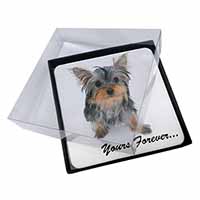 4x Yorkshire Terrier Dog 