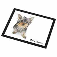 Yorkshire Terrier Dog 