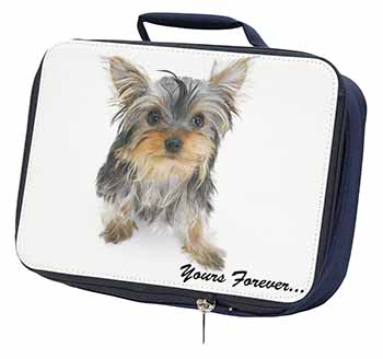 Yorkshire Terrier Dog 