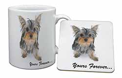 Yorkshire Terrier Dog 