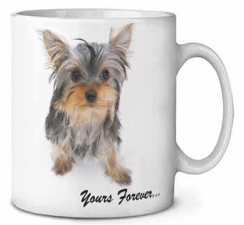 Yorkshire Terrier Dog 