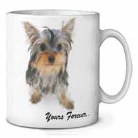 Yorkshire Terrier Dog 