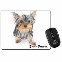 Yorkshire Terrier Dog 