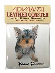 Yorkshire Terrier Dog 