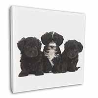 Yorkipoo Puppies Square Canvas 12"x12" Wall Art Picture Print