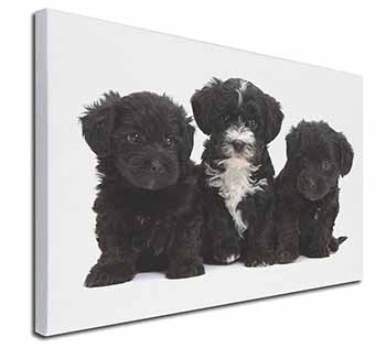 Yorkipoo Puppies Canvas X-Large 30"x20" Wall Art Print