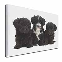 Yorkipoo Puppies Canvas X-Large 30"x20" Wall Art Print