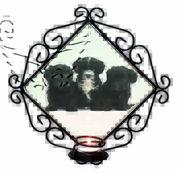 Yorkipoo Puppies Wrought Iron Wall Art Candle Holder