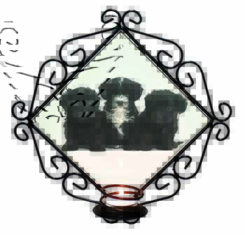 Yorkipoo Puppies Wrought Iron Wall Art Candle Holder
