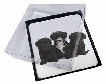 4x Yorkipoo Puppies Picture Table Coasters Set in Gift Box
